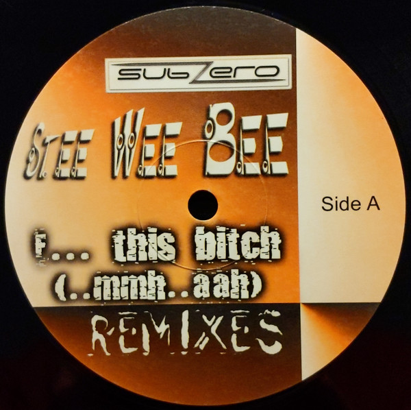 Stee Wee Bee - A Star (In The Name Of Our Love) (Megara vs DJ Lee RMX Edit)