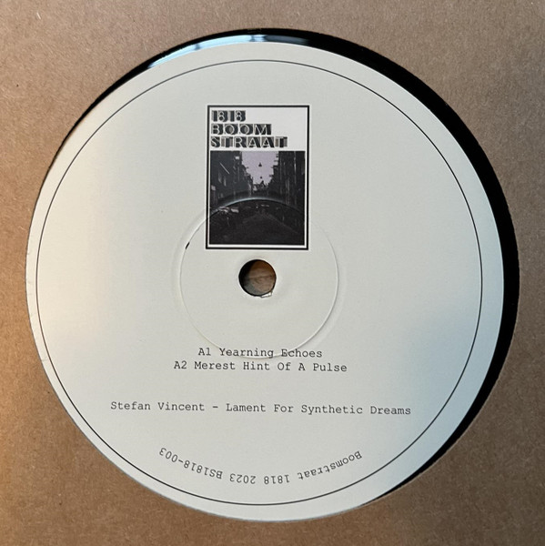 Stefan Vincent - I Would Give Anything to Feel Nothing