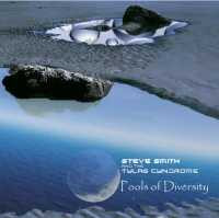 Steve Smith And The Tylas Cyndrome - Instant Recognition