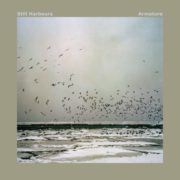Still Harbours - Ruminate
