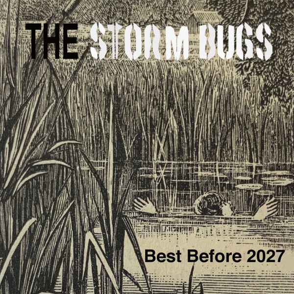 Storm Bugs - Little Bob Minor