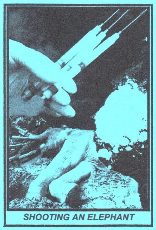 Stress Orphan - In Offering