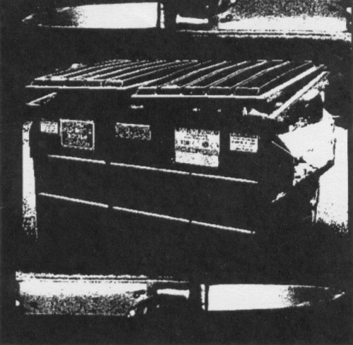 Suburbia Melting - Pinky Swear