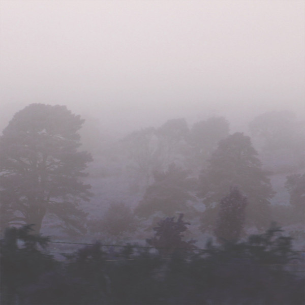 Sun Rain - Sheets