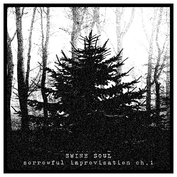Swine Soul - Worshipping Utter Destruction of all Sanity and Hope Within My Soul