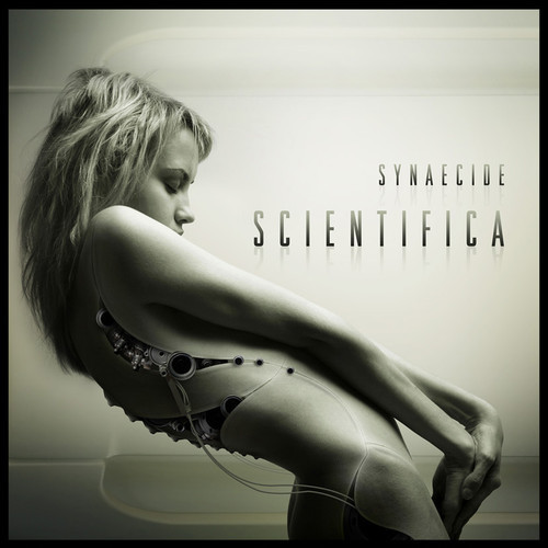 Synaecide - The World is High