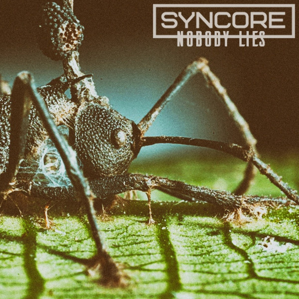 Syncore - Nobody Lies