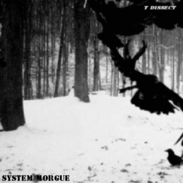 System Morgue - Rose Des Vents