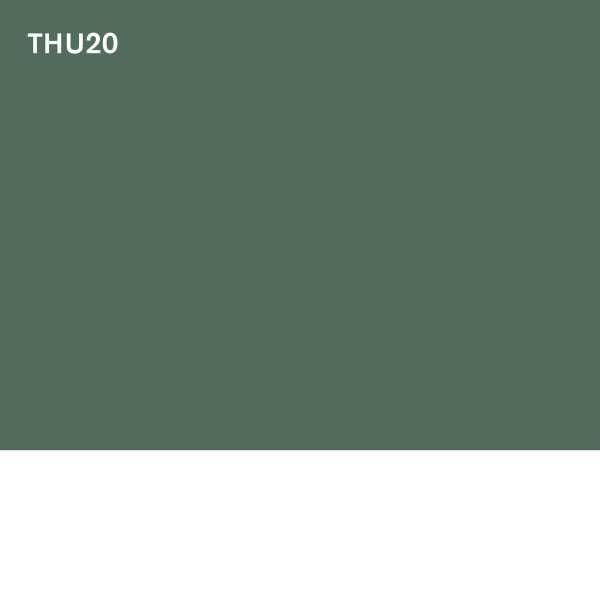 THU20 - human interface