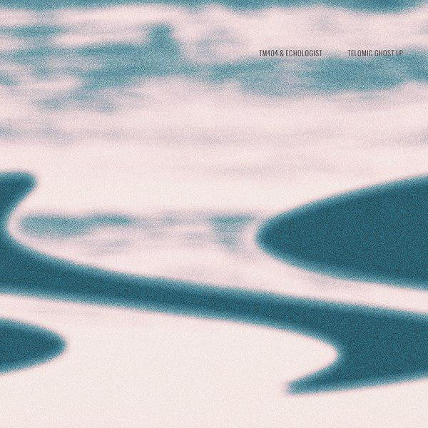 TM404 & Echologist - Divided We Fall