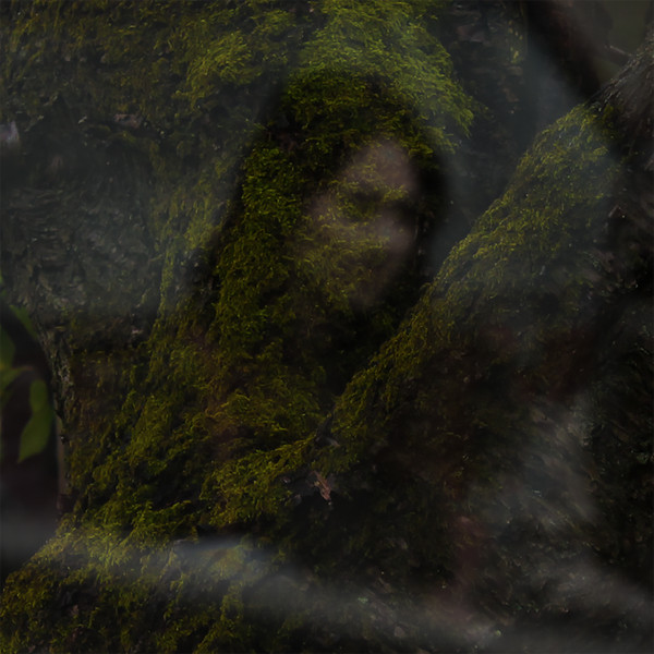 TREEREFLECTION - MORNING