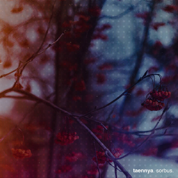 Taennya - Back To This Place