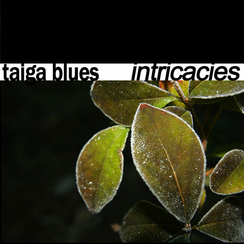 Taiga Blues - Intelligent Design