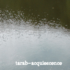 Tarab - Wind