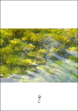 Tausendschøen - Workinwithlow