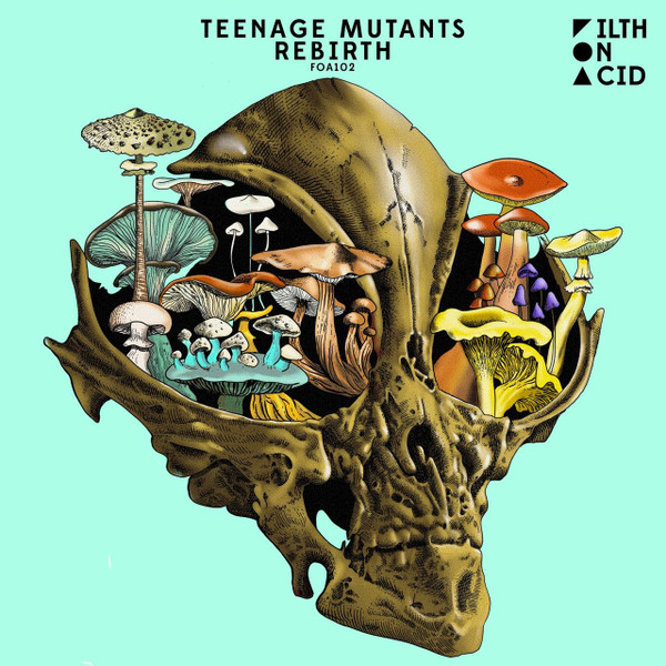 Teenage Mutants - Chaos - Rave Mix