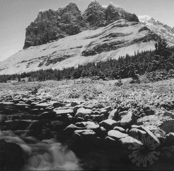 Tekarra - Black Limbs