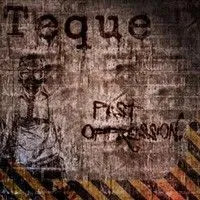 Teque - Forever Fields