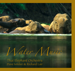 Thai Elephant Orchestra - Phong's solo