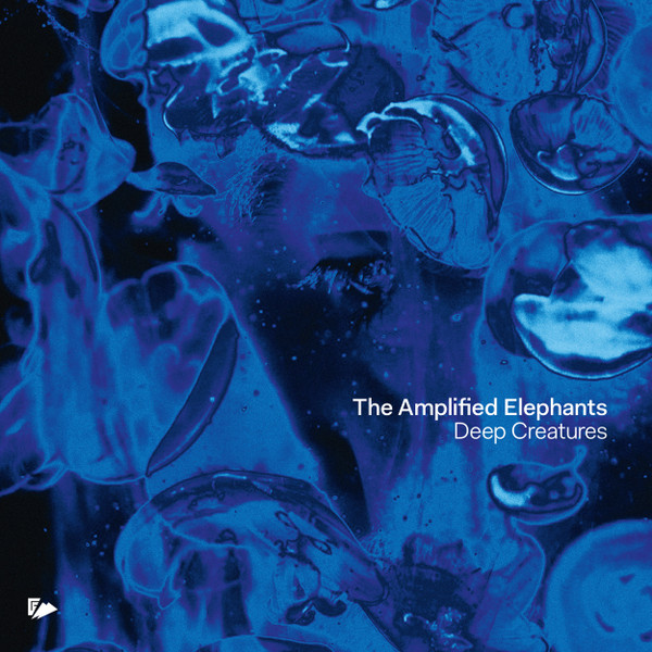 The Amplified Elephants - Dinner