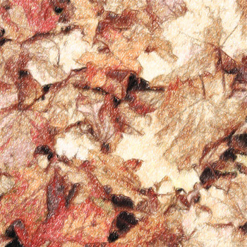The Autumn Leaves Fall In - A Mantle Of Darkness
