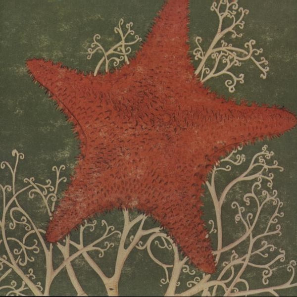 The Blithe Sons - Green Patterns