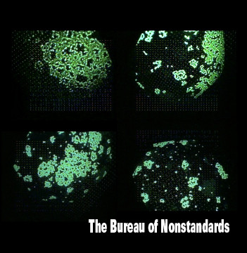 The Bureau of Nonstandards - Cockpit of Dreams