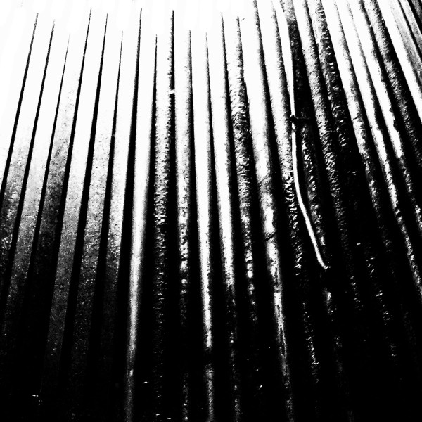 The Crinn - Incipience