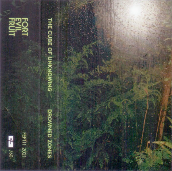 The Cube Of Unknowing - Horned Beasts of Ui Maine
