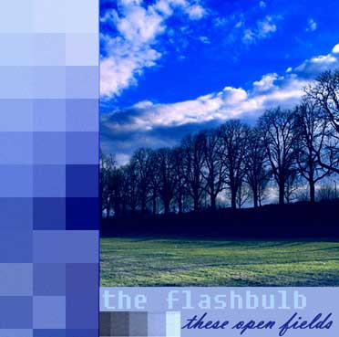 The Flashbulb - Undiscovered Colors