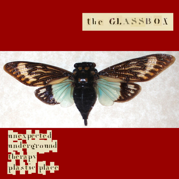 The Glassbox - Automaton