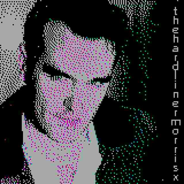 The Hardliner - something like bitter-bitter symphony