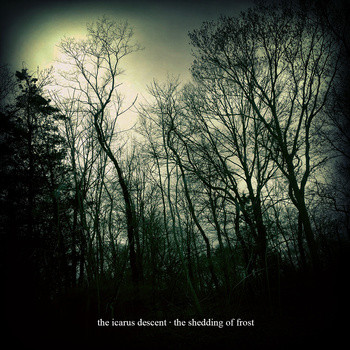 The Icarus Descent - 2013.02.28