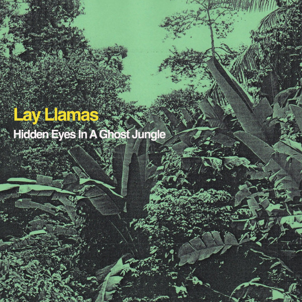 The Lay Llamas - Silver Sun
