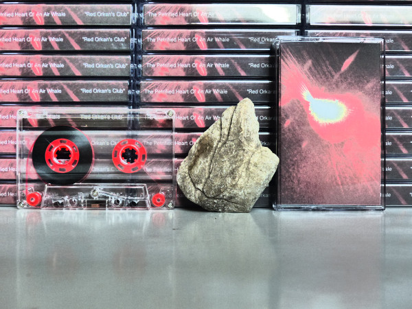 The Petrified Heart Of An Air Whale - Lying Reflection