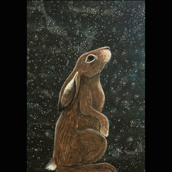 The Scared Hare - Hopping