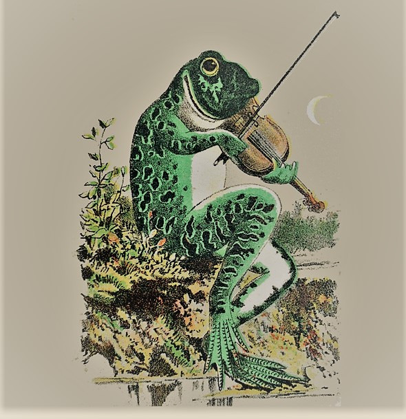 The Shakespearean Frog - Love looks not with the eyes