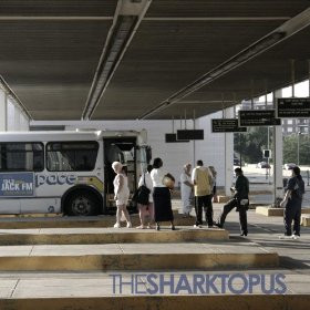 The Sharktopus - Conversations and a Maker's Mark