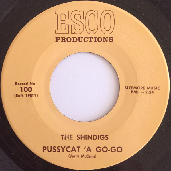 The Shindigs - Tribute (To Kurt)