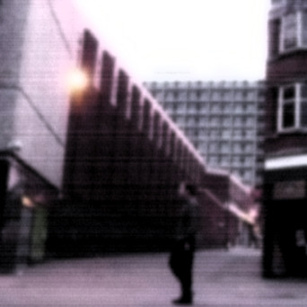 The Silent Committee - Rose