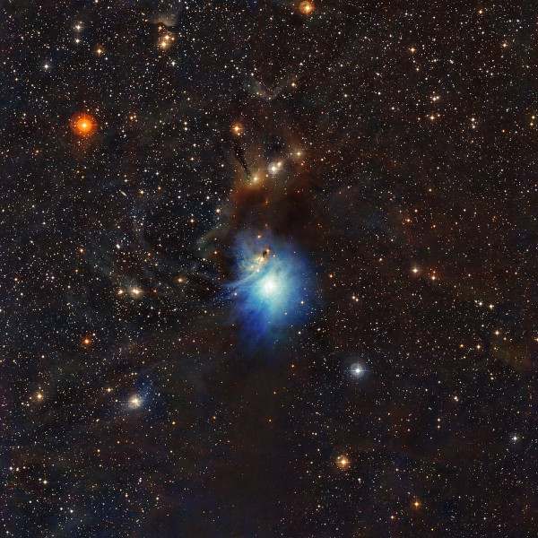 The Silent Void - Nebula