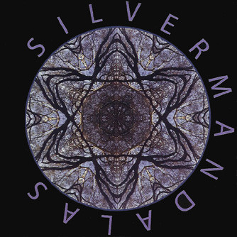 The Silverman - Visitation