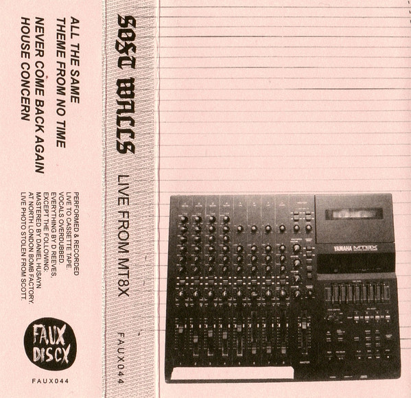 The Soft Walls - Black Cat