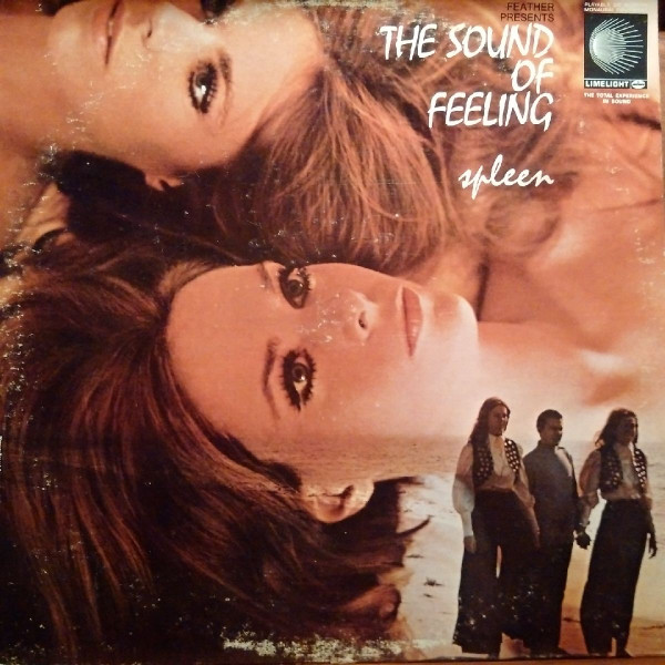 The Sound of Feeling - Hurdy Gurdy Man