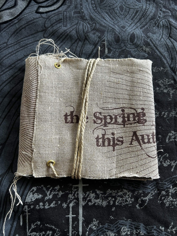 The Spring This Autumn - Chapter V: Blood
