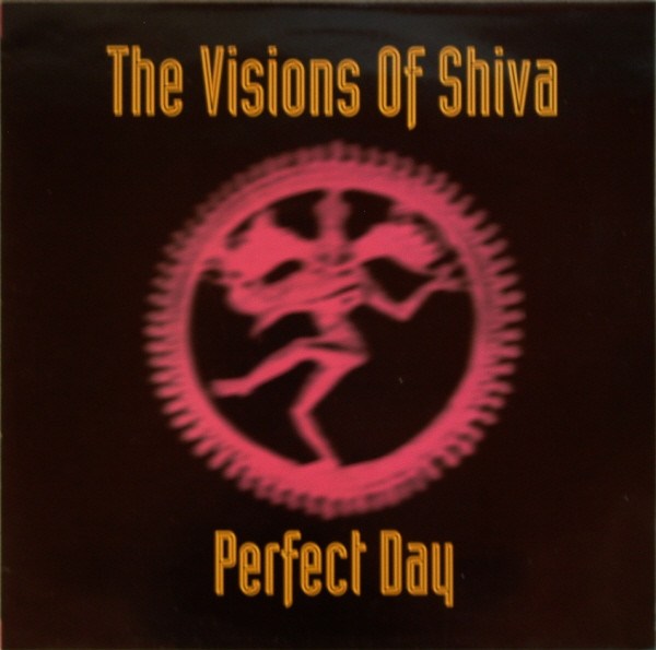 The Visions of Shiva - Perfect Day