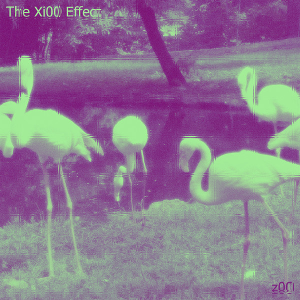 The Xi00 Effect - Zer01