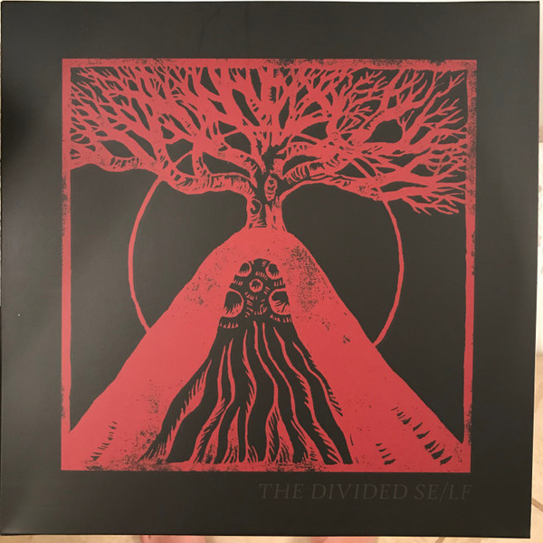 This Cold Night - Black Cathedral