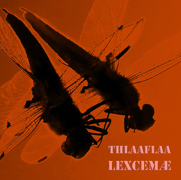 Thlaaflaa - Wanderings Among Ruins