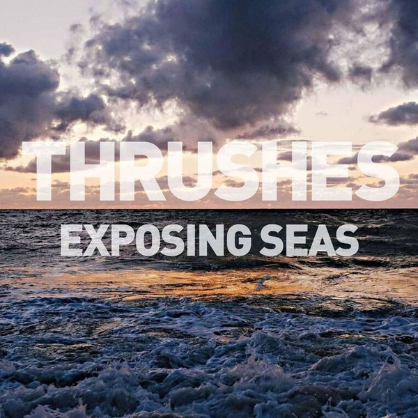 Thrushes - heartbeats
